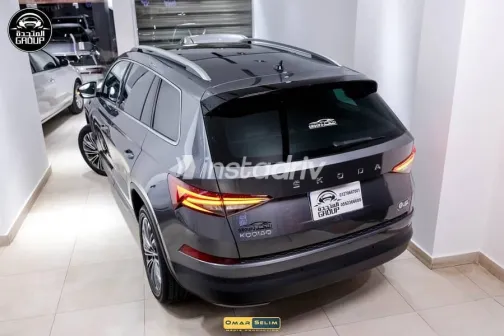 Skoda Kodiaq 2024 Gray Used for Sale - 4