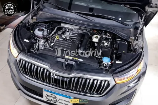 Skoda Kodiaq 2024 Gray Used for Sale - 10
