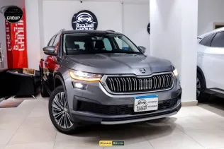 Skoda Kodiaq 2024 Gray Used for Sale