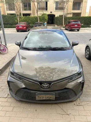 Toyota Corolla 2019 Gray Used for Sale