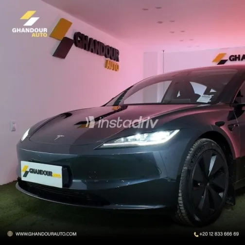 Tesla Model 3 2024 Gray Used for Sale - 1