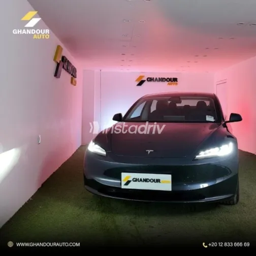 Tesla Model 3 2024 Gray Used for Sale - 2