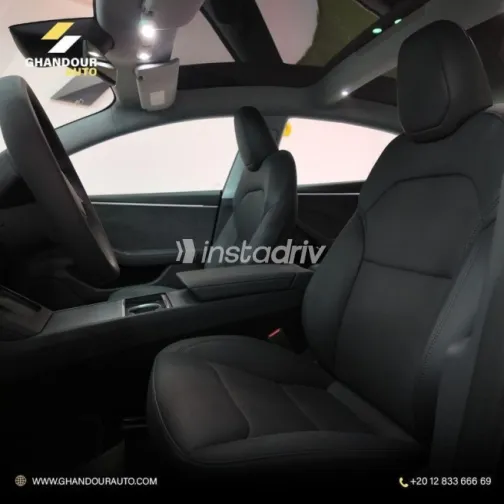 Tesla Model 3 2024 Gray Used for Sale - 9