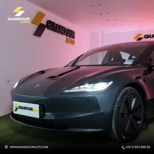 Tesla Model 3 2024 Gray Used for Sale