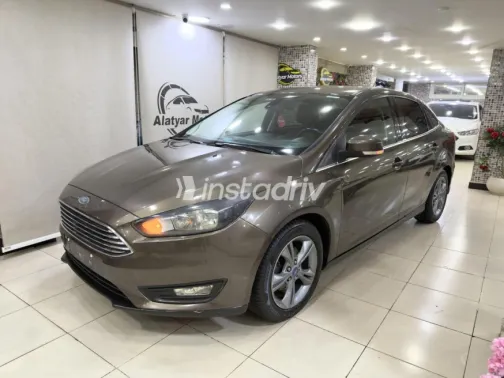Ford Focus 2014 Silver Used for Sale - 6
