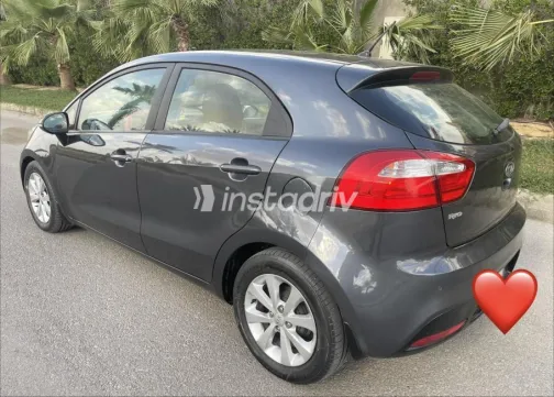 Kia Rio 2014 Petroleum Used for Sale - 5