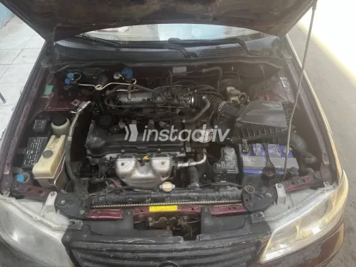 Nissan Sunny 2006 Burgundy Used for Sale - 5