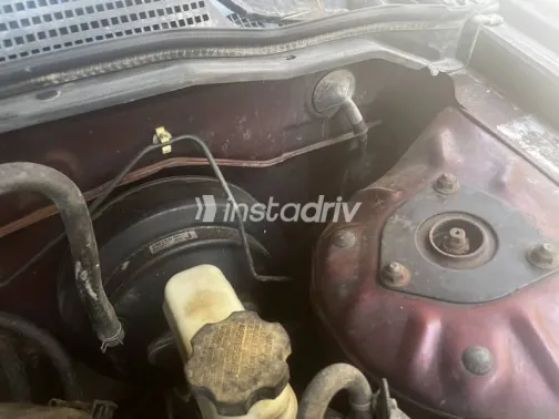Nissan Sunny 2006 Burgundy Used for Sale - 6