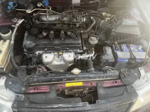Nissan Sunny 2006 Burgundy Used for Sale - 10