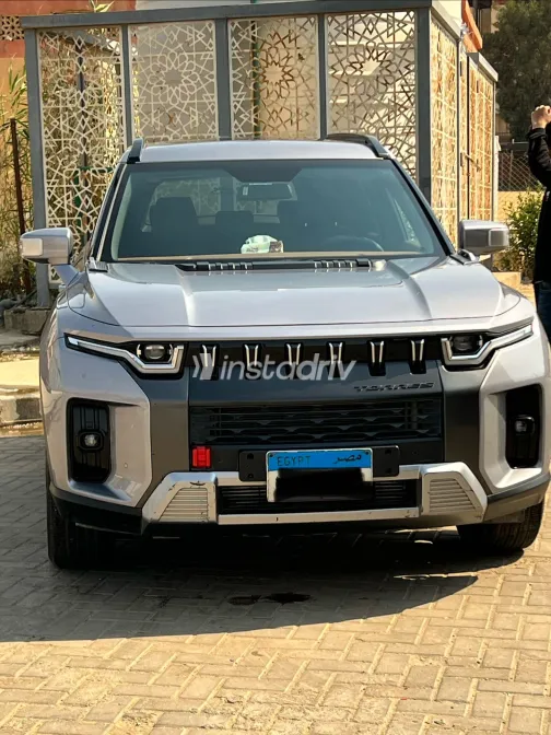 Ssang Yong Torres 2024 Gray Used for Sale - 6