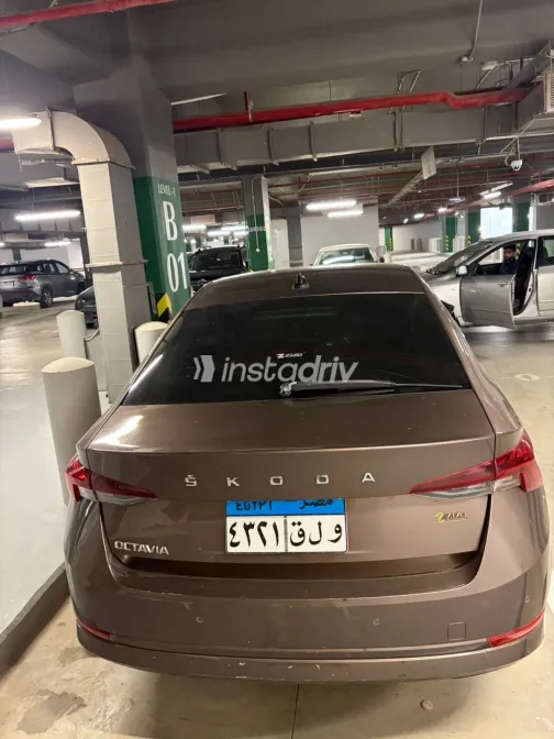 سكودا اوكتافيا A8 2021 بني مستعملة للبيع - 1