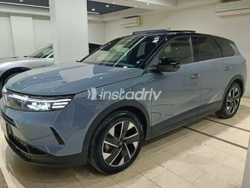 Opel Grandland 2026 Gray Used for Sale - 4