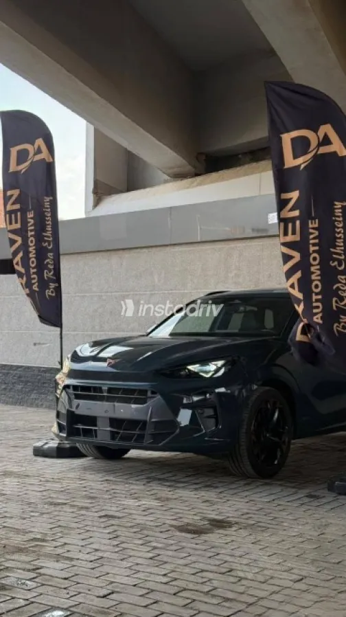 كوبرا تيرامار 2026 رمادي مستعملة للبيع - 5
