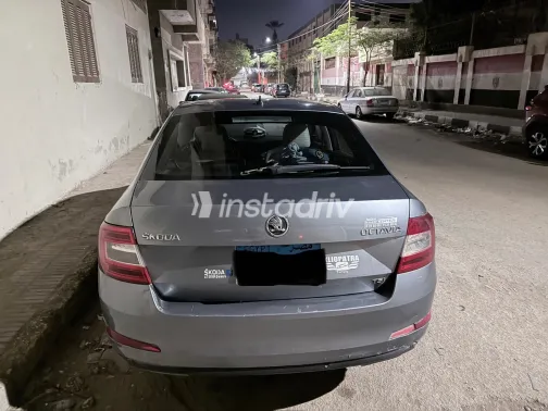 سكودا اوكتافيا A7 2014 رمادي مستعملة للبيع - 5