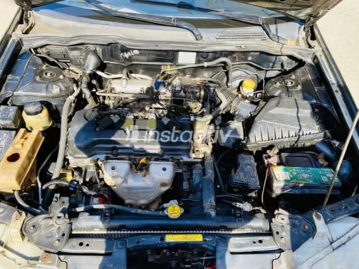 Nissan Sunny 2008 Black Used for Sale - 10