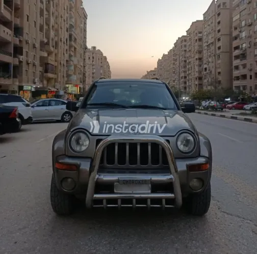 Jeep Liberty 2005 Gold Used for Sale - 6