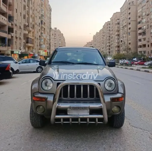 Jeep Liberty 2005 Gold Used for Sale - 7