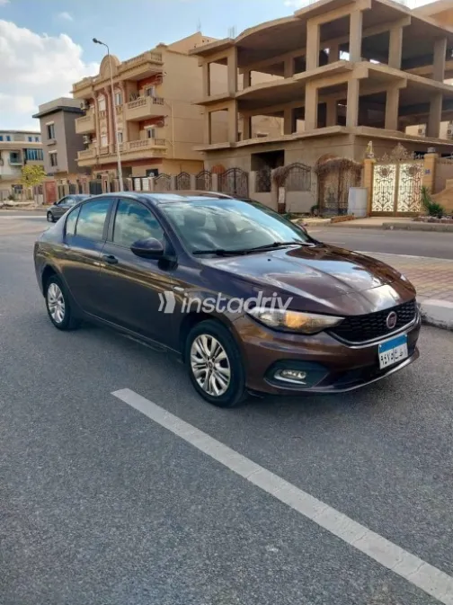 Fiat Tipo 2021 Brown Used for Sale - 3