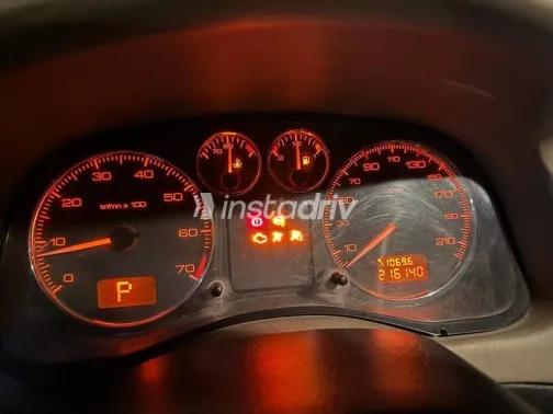 Peugeot 307 2007 Gray Used for Sale - 5