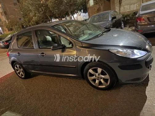 Peugeot 307 2007 Gray Used for Sale - 6