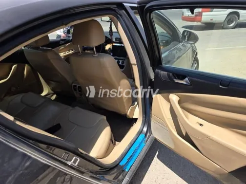 Volkswagen Passat 2008 Brown Used for Sale - 9