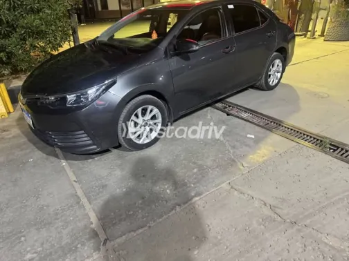 Toyota Corolla 2019 Gray Used for Sale - 1