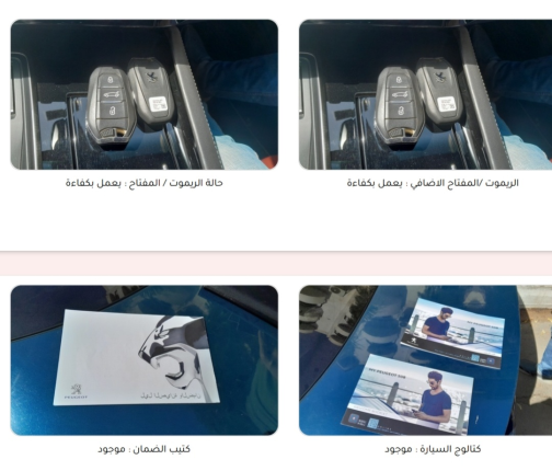 بيجو 508 2021 أزرق مستعملة للبيع - 10