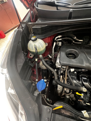 Kia Sportage 2019 White Used for Sale