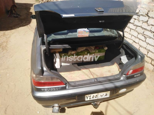 Peugeot 406 1998 Gray Used for Sale - 10