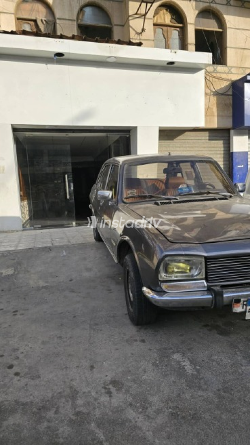 Peugeot 504 1975 Gray Used for Sale - 4