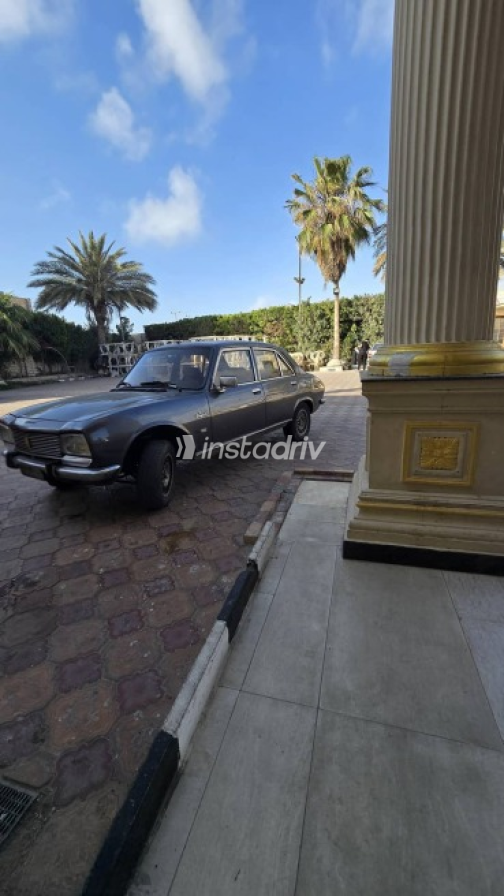 Peugeot 504 1975 Gray Used for Sale - 8