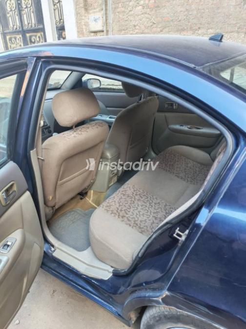 Speranza A516 2008 Dark Blue Used for Sale - 9