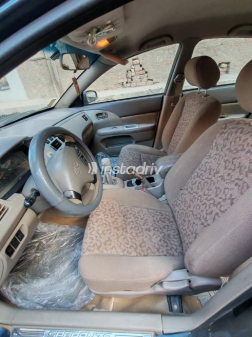 Speranza A516 2008 Dark Blue Used for Sale - 10
