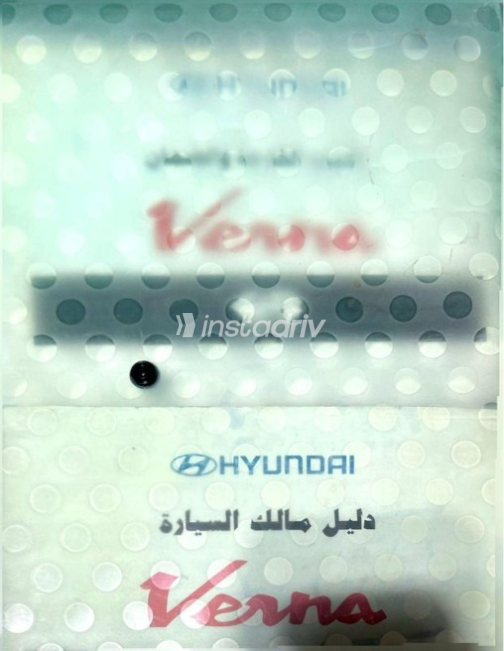 Hyundai Verna 2009 Gray Used for Sale - 6