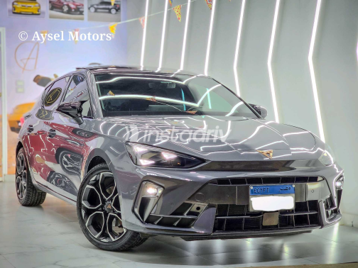 كوبرا ليون 2025 رمادي مستعملة للبيع - 9