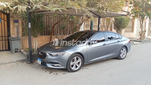 اوبل أنسيجنيا 2019 رمادي مستعملة للبيع - 1