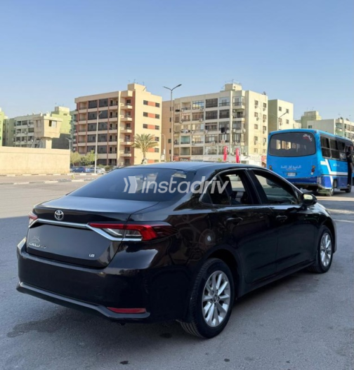 تويوتا كورولا 2019 بني مستعملة للبيع - 2