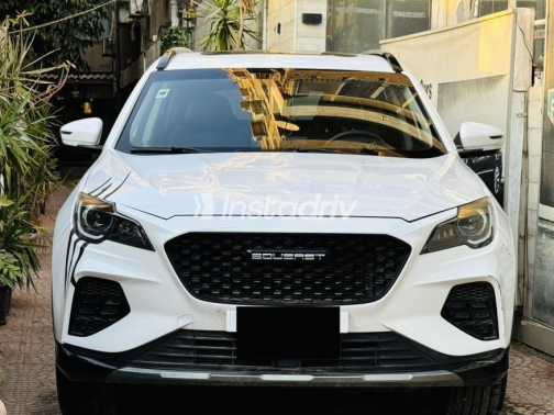 ساوايست DX8S Coupe 2024 أبيض مستعملة للبيع - 3