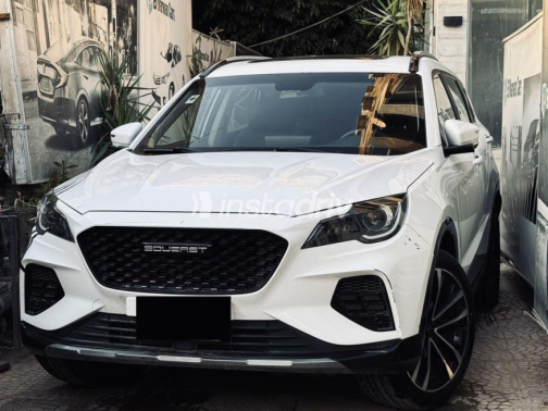 ساوايست DX8S Coupe 2024 أبيض مستعملة للبيع - 6
