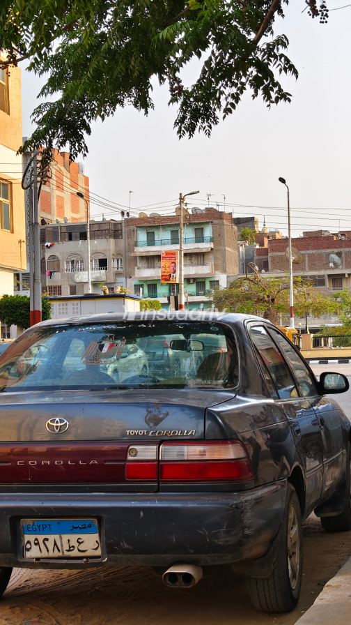 Toyota Corolla 1994 Gray Used for Sale - 4