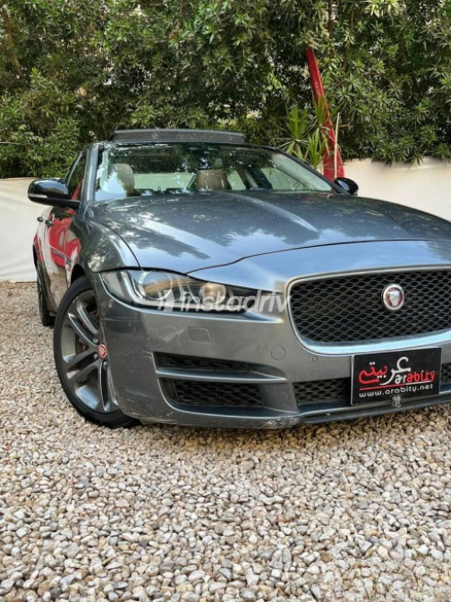 Jaguar XE 2014 Gray Used for Sale - 4
