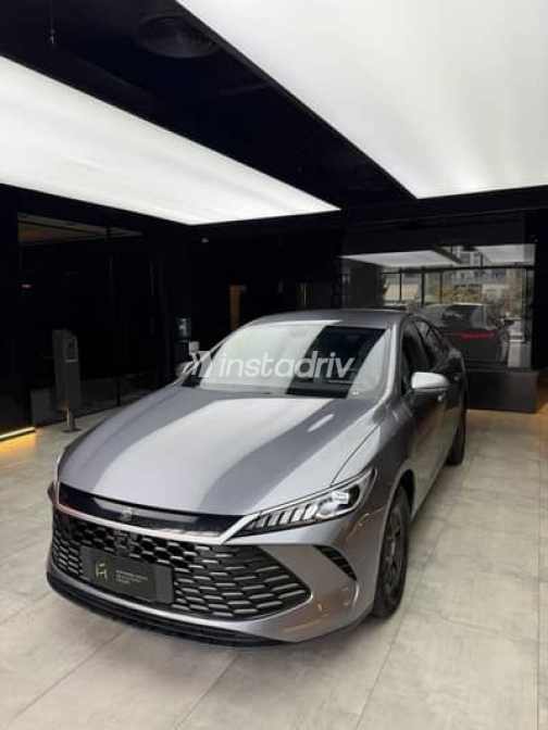 بى واى دى‬ كين 2025 رمادي جديدة للبيع - 1