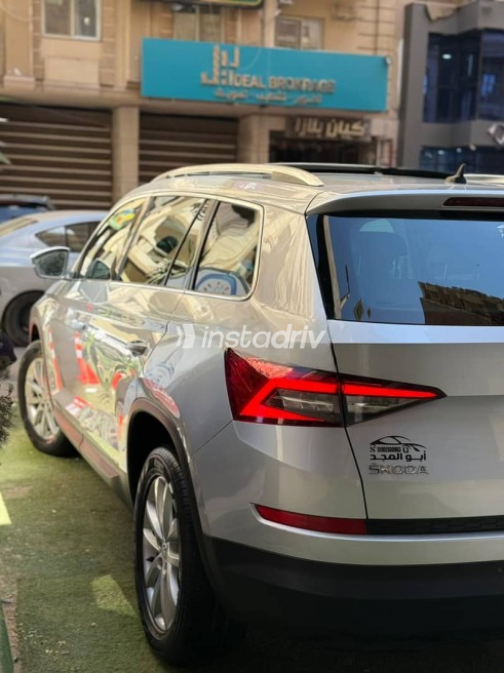 سكودا كودياك 2019 رمادي مستعملة للبيع - 5