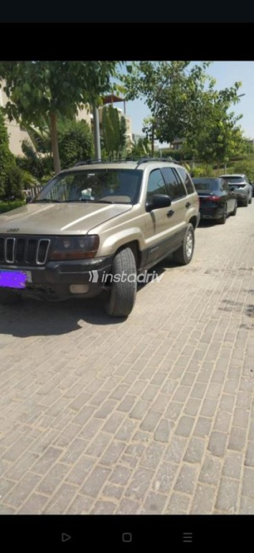 Jeep Grand Cherokee 2001 Gold Used for Sale - 3