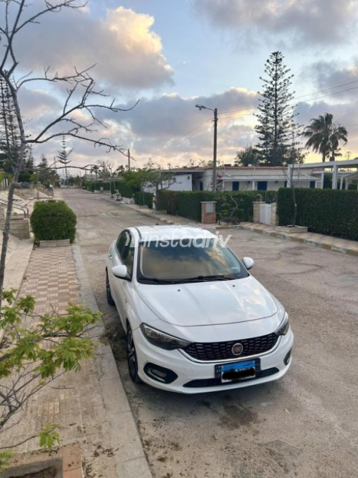 Fiat Tipo 2019 White Used for Sale - 2