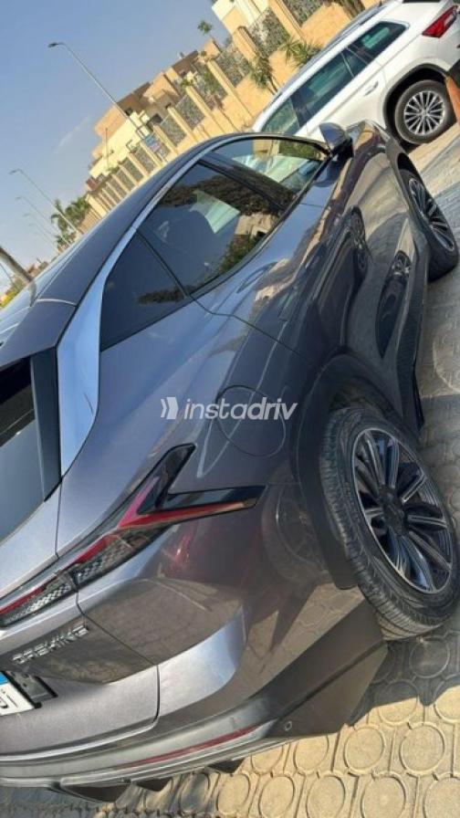 جيتور داشينج 2025 رمادي مستعملة للبيع - 3