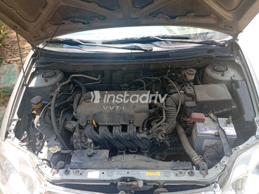 Toyota Corolla 2003 Gold Used for Sale - 6