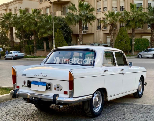 Peugeot 404 1975 White Used for Sale - 7