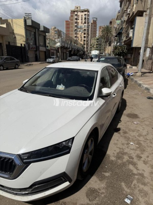 سكودا اوكتافيا 2021 أبيض مستعملة للبيع - 2