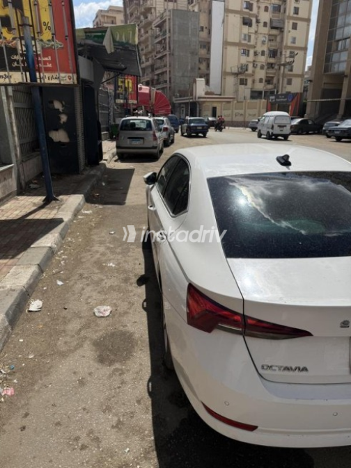 سكودا اوكتافيا 2021 أبيض مستعملة للبيع - 3